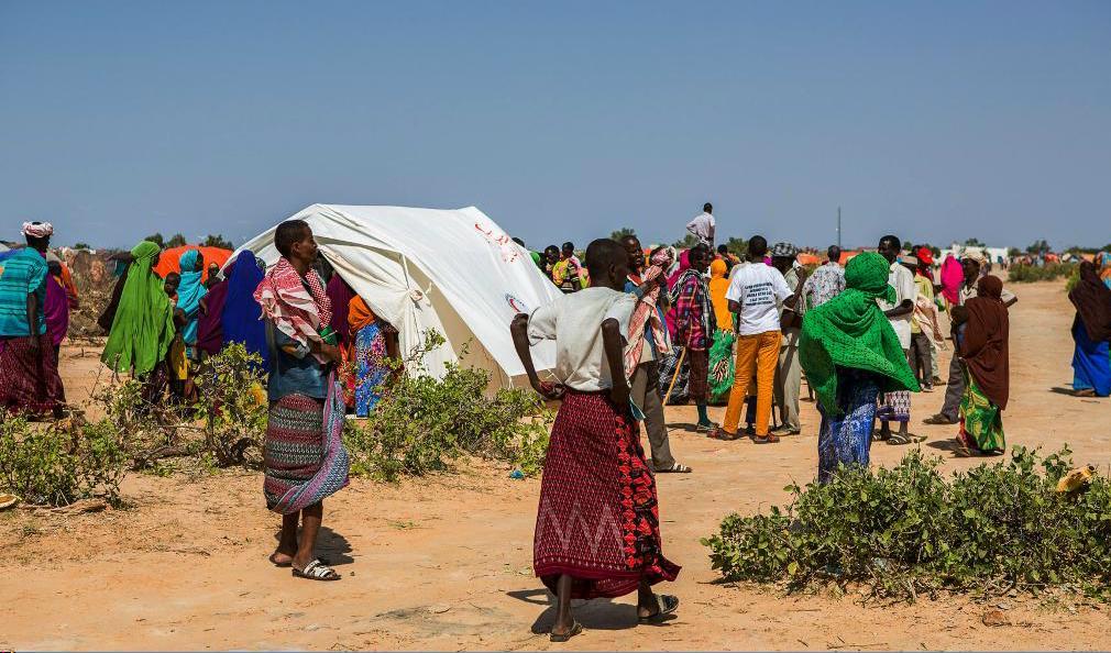 
Många somalier har flytt undan torkan och lever i läger för internflyktingar. Bilden är från Aynabo i Somaliland. Foto: Tomas Ärlemo/Röda korset/TT                                            