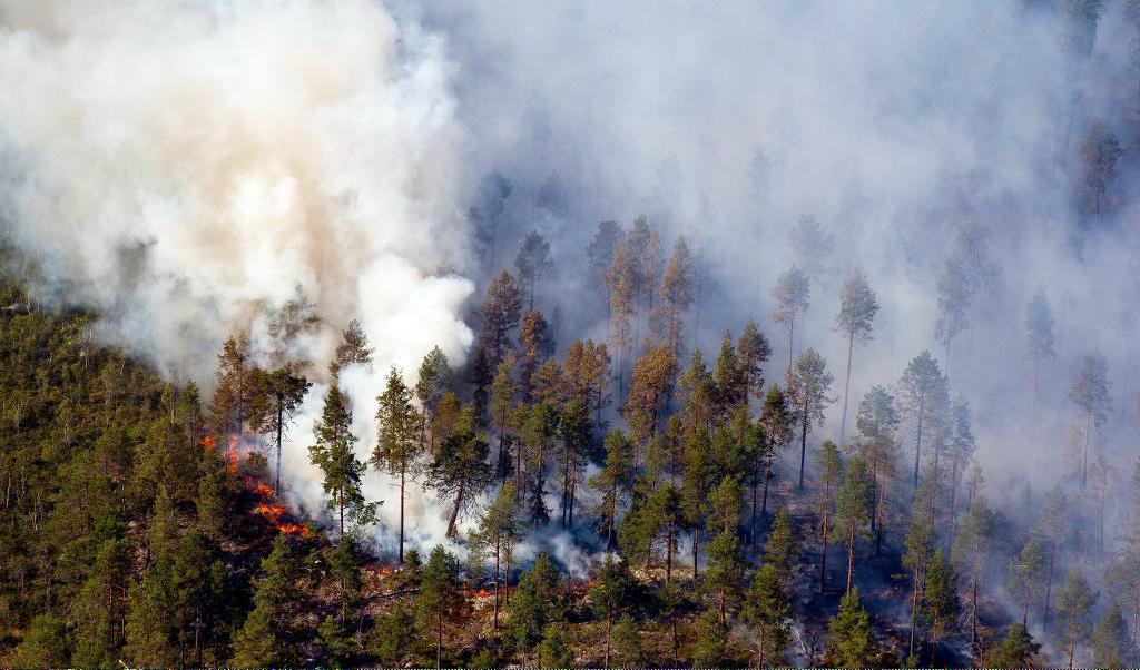 En kraftig skogsbrand rasar utanför Garphyttan väster om Örebro. Arkivbild. Foto: Jocke Berglund/TT