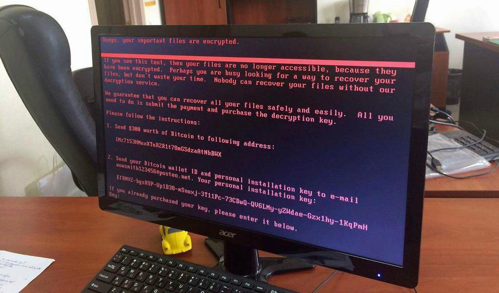 
En datorskärm med ett varningsmeddelande om cyberattacken. Foto: Oleg Reshetnyak/AP/TT                                            