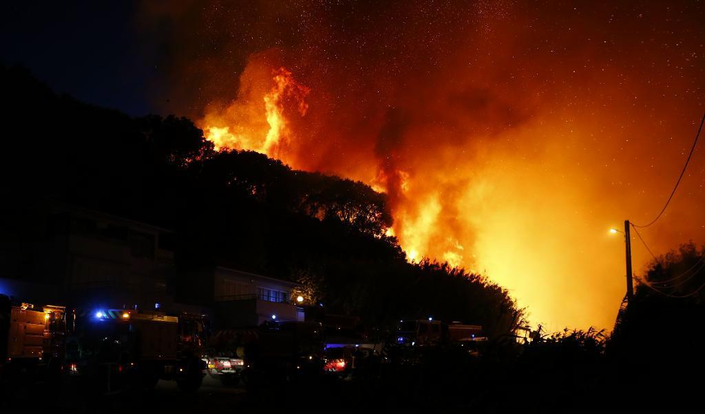 
Stora skogsområden har förstörts av bränder i södra Frankrike, bland annat på Korsika. Foto: Pascal Pochard-Casabianca/AFP/TT                                            