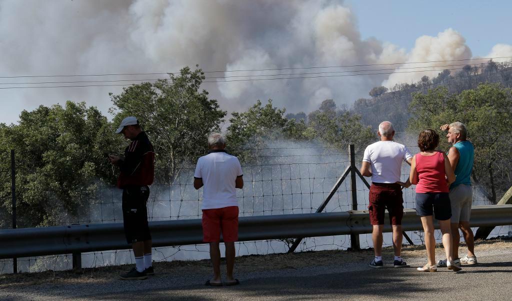
En skogsbrand i La Londe-les-Maures på franska rivieran. Foto: Claude Paris/AP/TT                                            
