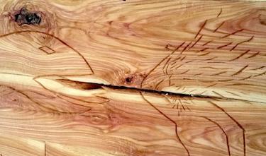 Striden mot det inre odjuret är ständigt pågående. Foto: Anton Nilsson