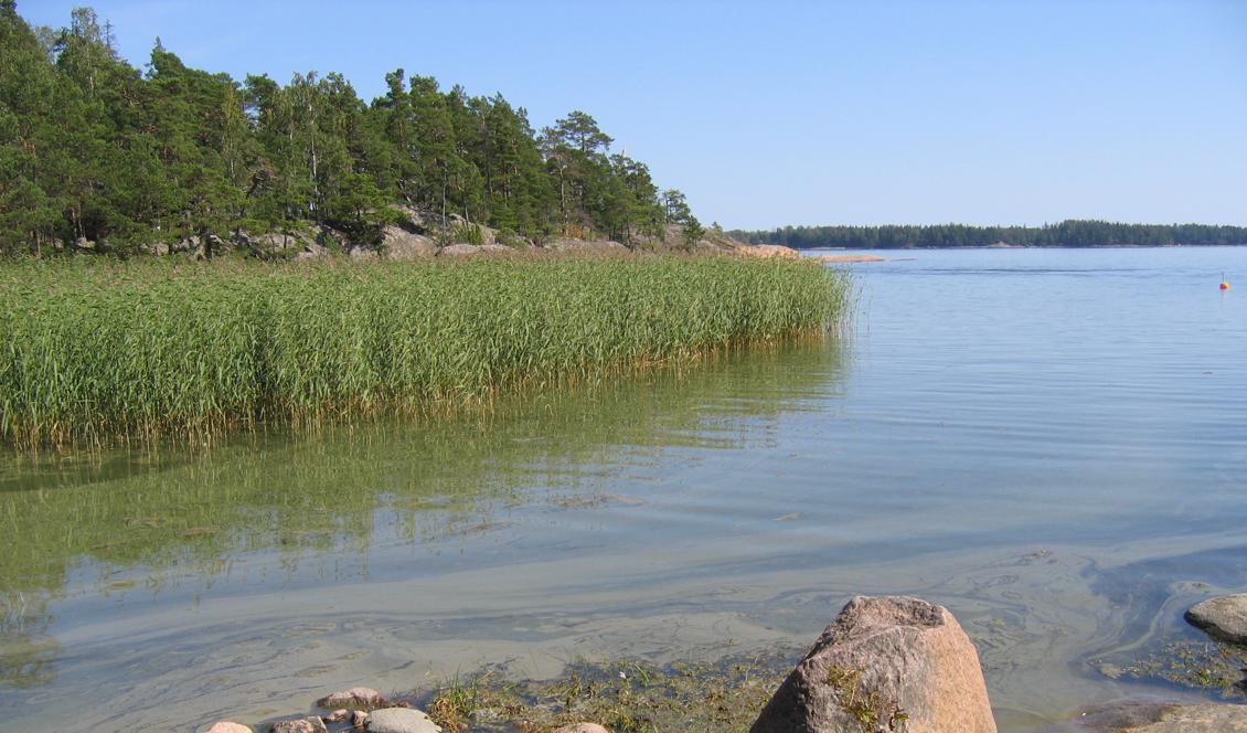 Nästa vecka verkar det som om högtrycket kommer att fortsätta och på flera håll i södra Sverige kan det bli över 20 grader. Foto: Ronja Addams-Moring/Wikimedia Commons-arkivbild