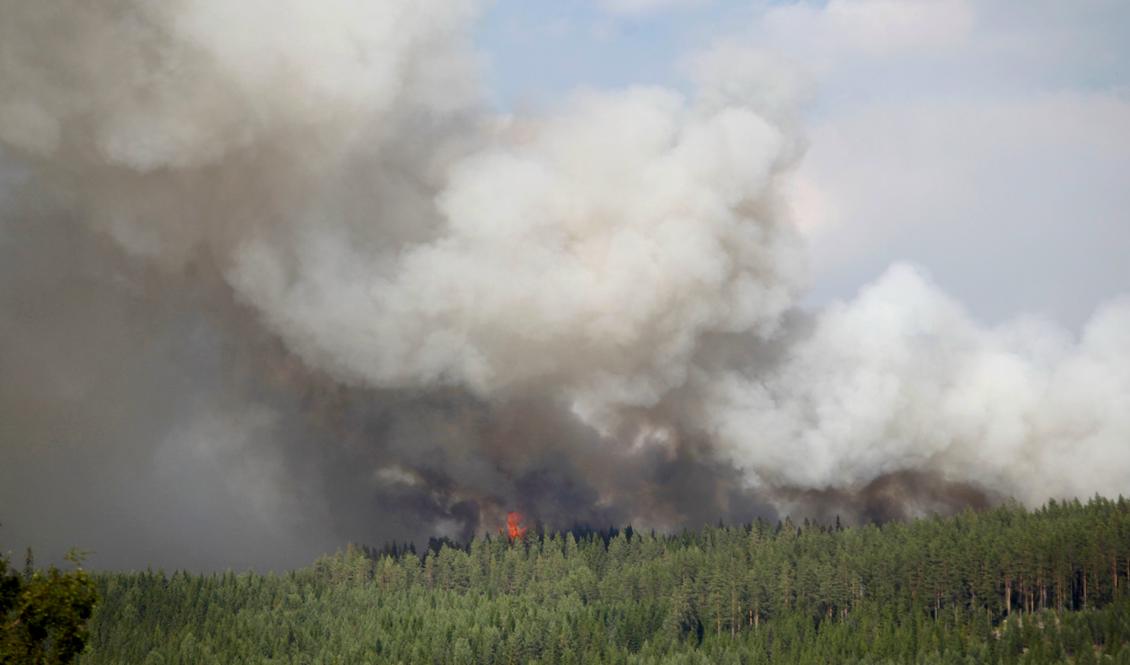 Brand i Hammarstrand i Ragunda kommun under måndagen. Foto: Mats Andersson/TT