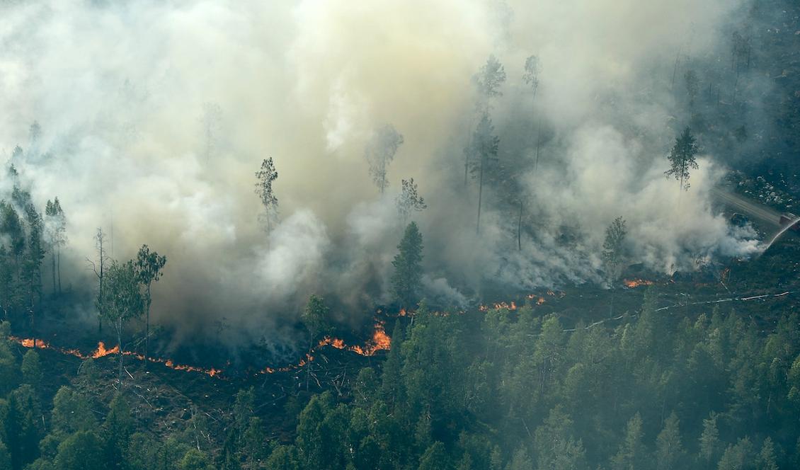 Statsminister Stefan Löfven anländer i dag till Ljusdal, där italienskt brandflyg hjälpte till med släckningsarbete under onsdagen. Foto: Maja Suslin/TT