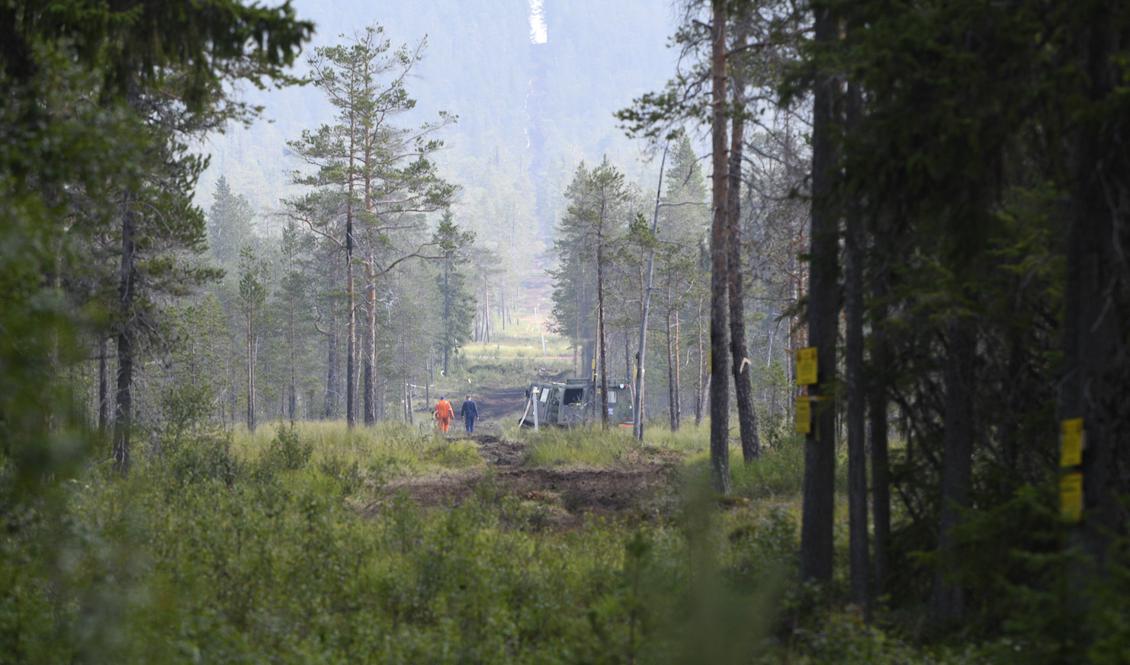 Branden på Älvdalens skjutfält i Dalarnas län. Foto: Nisse Schmidt/TT