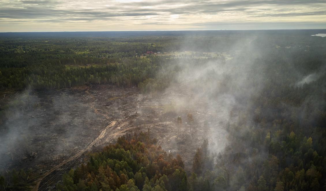 Även om det inte längre brinner i de stora brandområdena kan räddningstjänsten ha händerna fulla – brandrisken är fortfarande stor eller extremt stor. Foto: Andreas Hillergren/Arkivbild