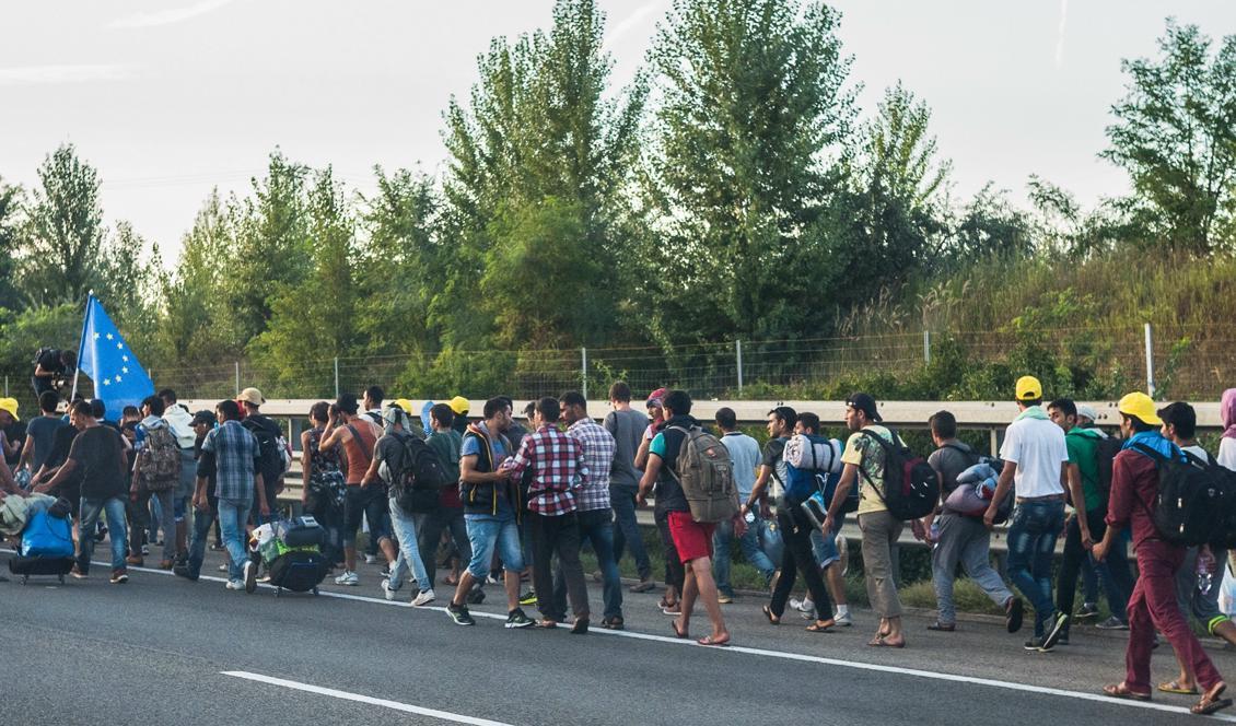 

Flyktingar på en ungersk motorväg på väg mot Österrike i september 2015. Foto: Wikimedia Commons                                                                                        