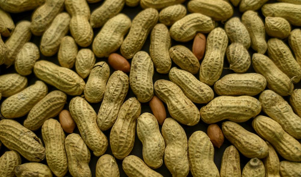 Albina Snacks återkallar jordnötter efter att höga halter av mögelgiftet aflatoxin hittats. Foto: TT/Arkivbild.