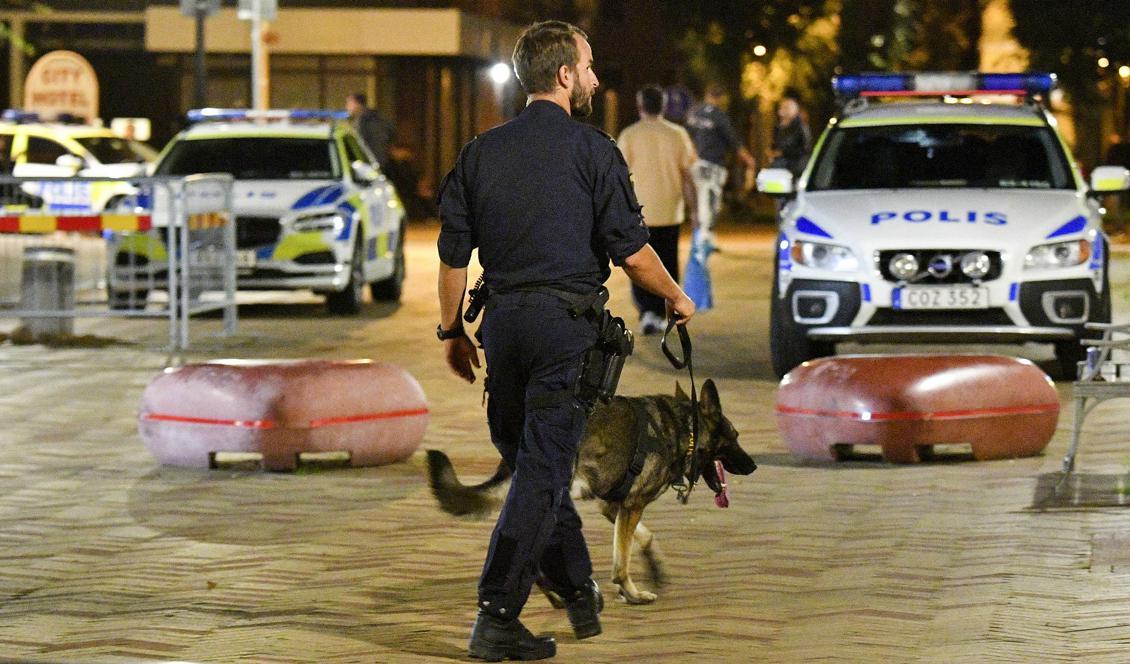 Skottlossningen i Helsingborg är den andra på två dagar. Här söker polisen med hund efter att de larmats till Gustavs Adolfs torg i Helsingborg på tisdagskvällen. Foto: Johan Nilsson/TT