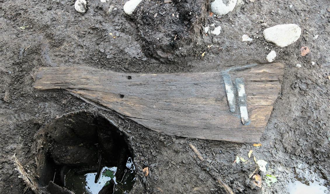 Ett intakt akterroder till en båt från 1300-talets början. Båten har troligen varit 6–7 meter lång. Foto: SHM Arkeologerna/Upplandsmuseet/TT