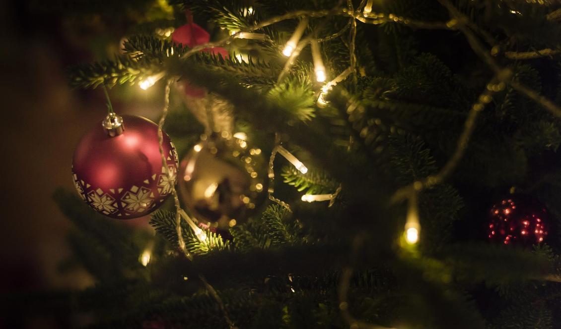 En ny granskning visar att det inte är ovanligt att julbelysningen innehåller skadliga kemikalier. Foto: Henrik Holmberg/TT-arkivbild