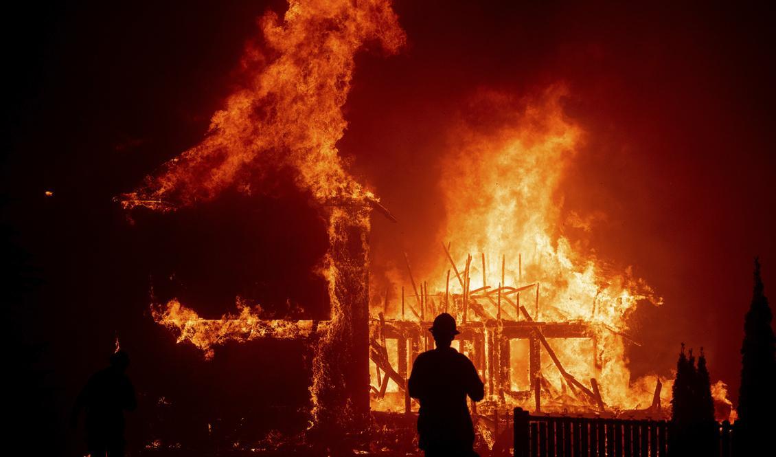 
En stor brand härjar i norra Kalifornien. Foto: Noah Berger/AP/TT                                            