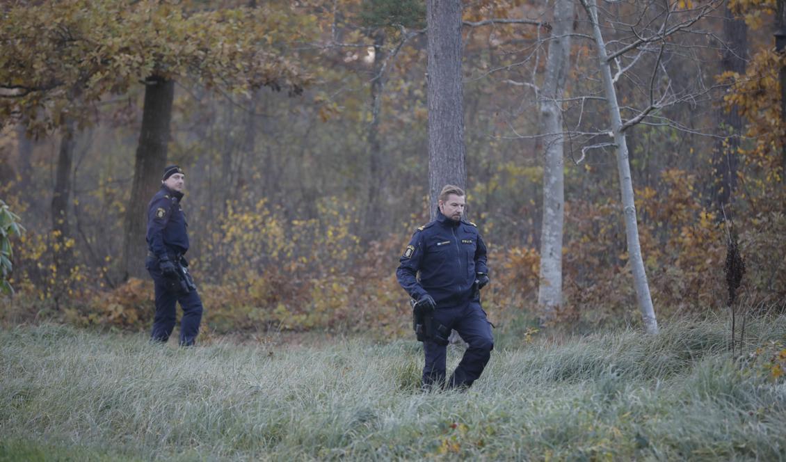 

Polis, hemvärn och frivilliga söker efter den försvunne tolvåringen i Falkenberg. Foto: Anders Andersson/TT                                                                                        