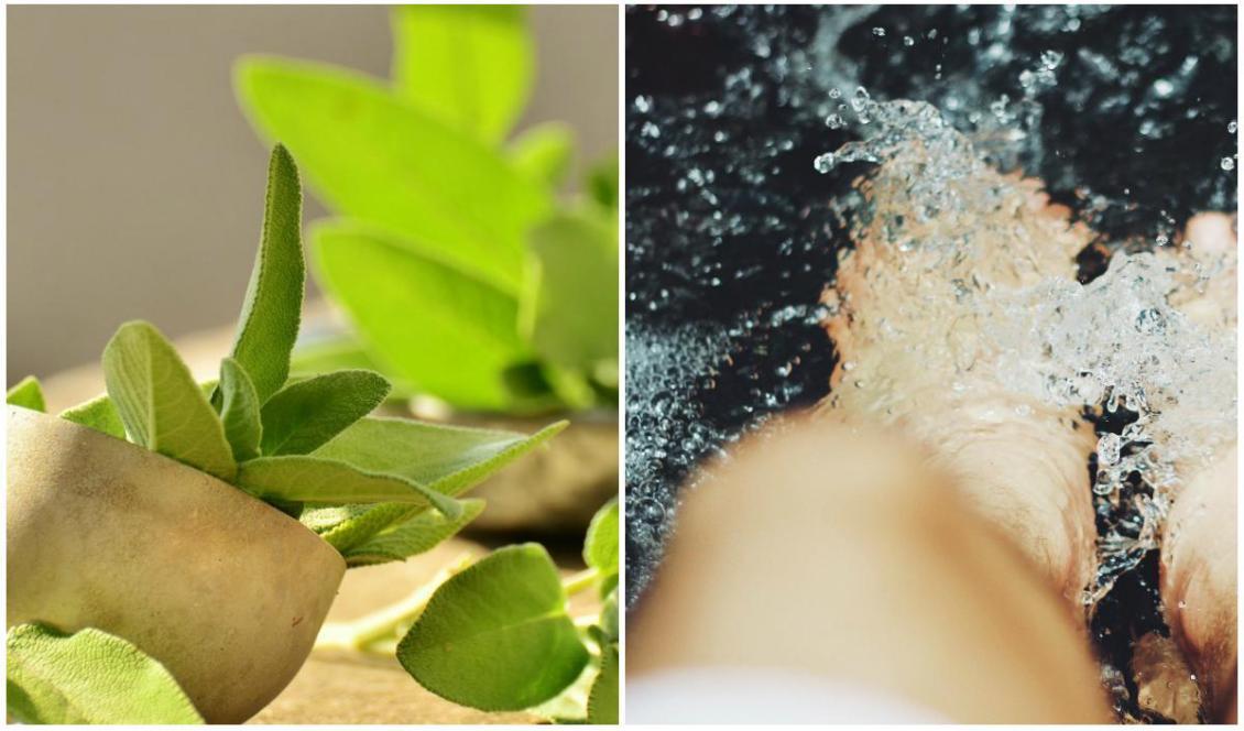 








Salvia är en av de tillsatser som hjälper hälsan i ett fotbad.                                                                                                                                                                                                                                                                                                                                                                                                                                