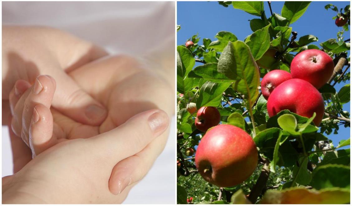 



Att smörja in händerna på ett barn eller en förälder kan ge en fin, nära stund. Äpple kan enligt gammal tro ha magisk effekt.                                                                                                                                                                                                