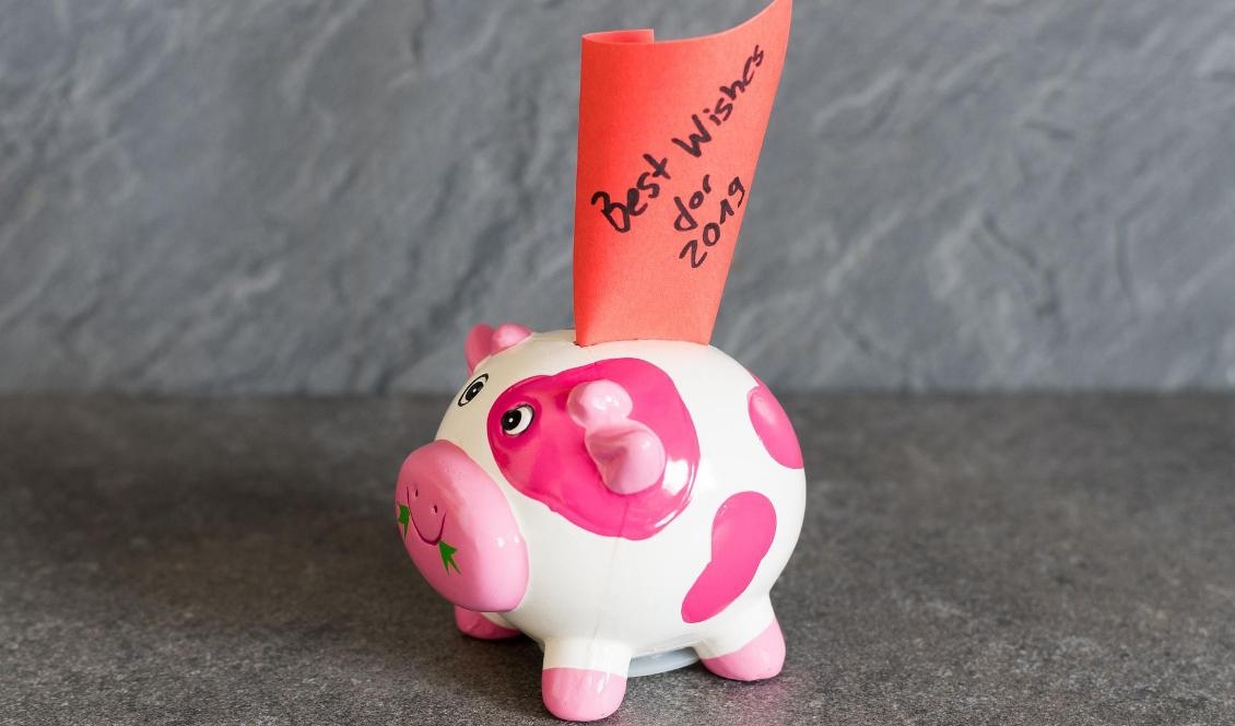 Grisen är en symbol för rikedom och förväntas bli ett gynnsamt år för alla.