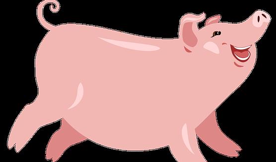 Grisar är glada, intelligenta och arbetsvilliga.