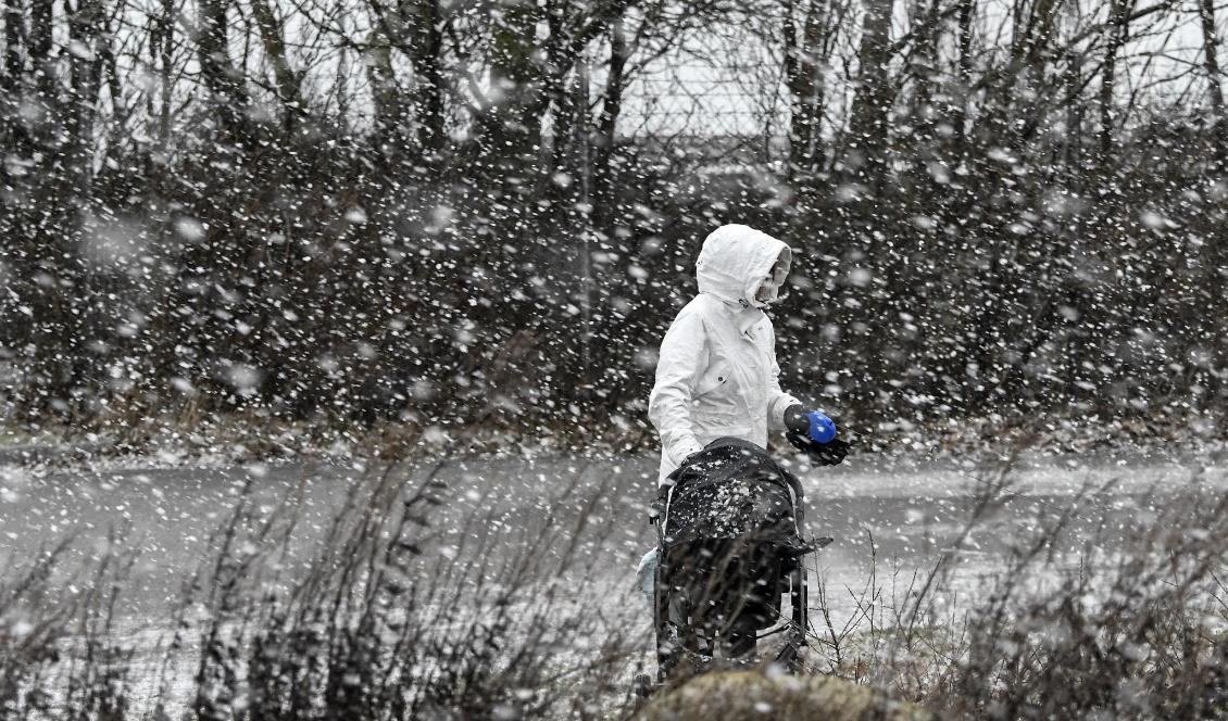 SMHI varnar för snöfall och friska vindar i områden som ännu är strömlösa efter Alfridas framfart. Foto: Johan Nilsson/TT-arkivbild