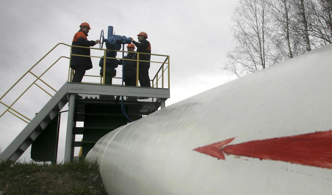 Förorenad rysk olja har spridits i Europa via den mycket viktiga Druzjbaledningen. Här en pumpstation i Vitryssland. Foto: Sergej Grits/AP/TT- arkivbild
