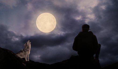 Mannen levde ensam på berget. Hans enda sällskap var en varg som han blev väldigt fäst vid.