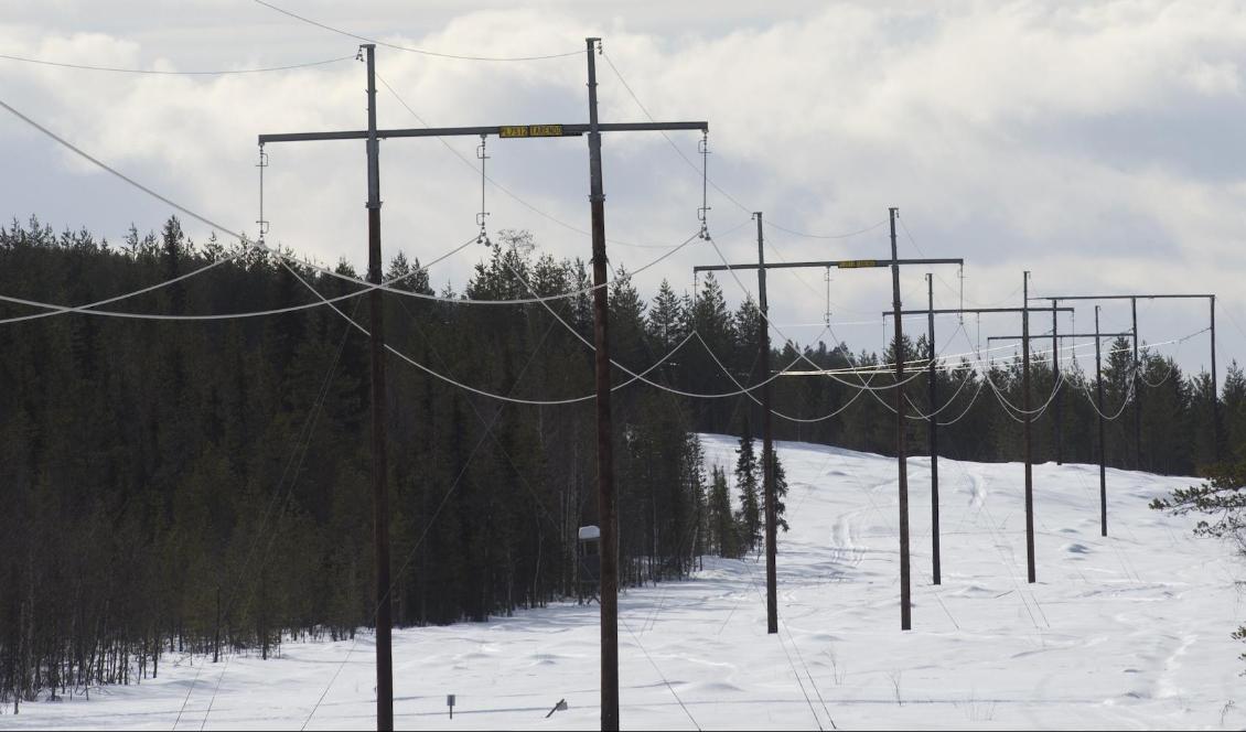 Myndigheten väntas strama åt elnätsbolagens vinstutrymme. Foto: Fredrik Sandberg/TT-arkivbild
