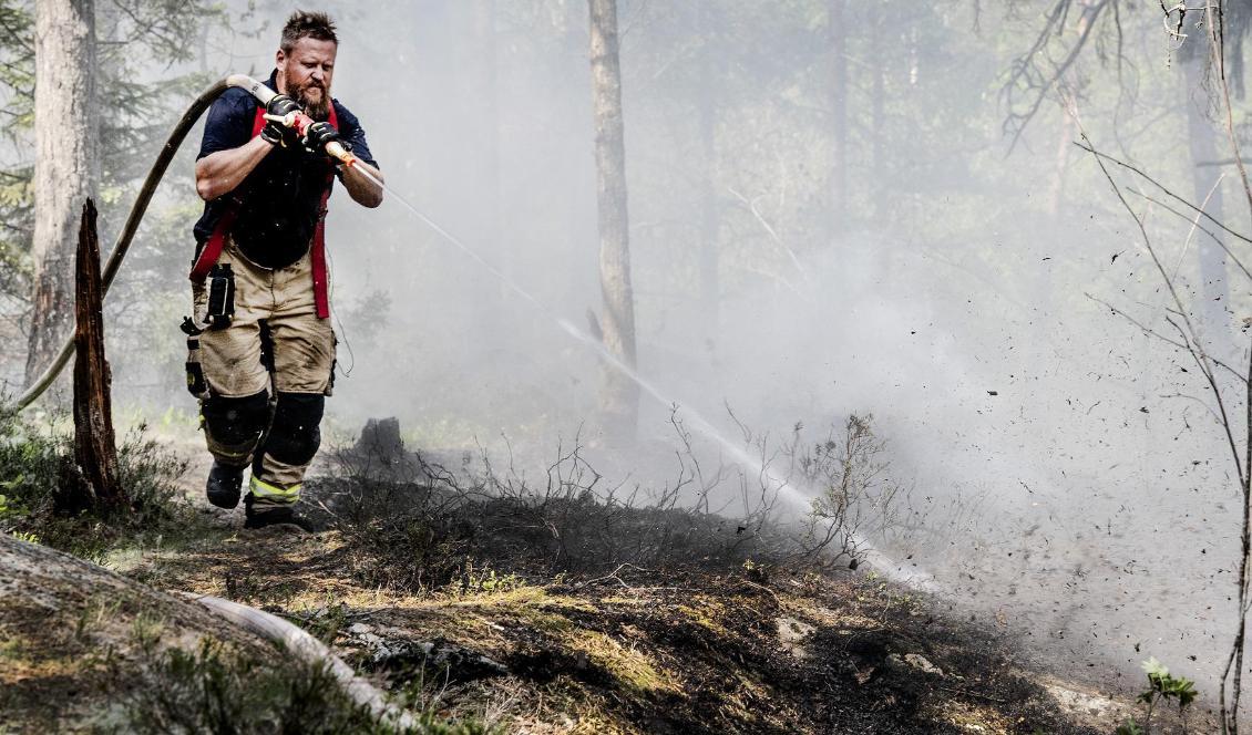 
Under maj månad var det många anlagda aspluddbränder i landet. Foto: Tomas Oneborg/SvD/TT-arkivbild                                                