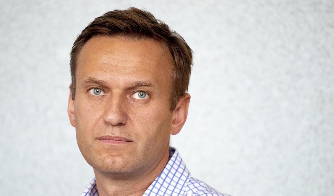 Den ryske oppositionsledaren Aleksej Navalnyj. Foto: Pavel Golovkin/AP/TT-arkivbild