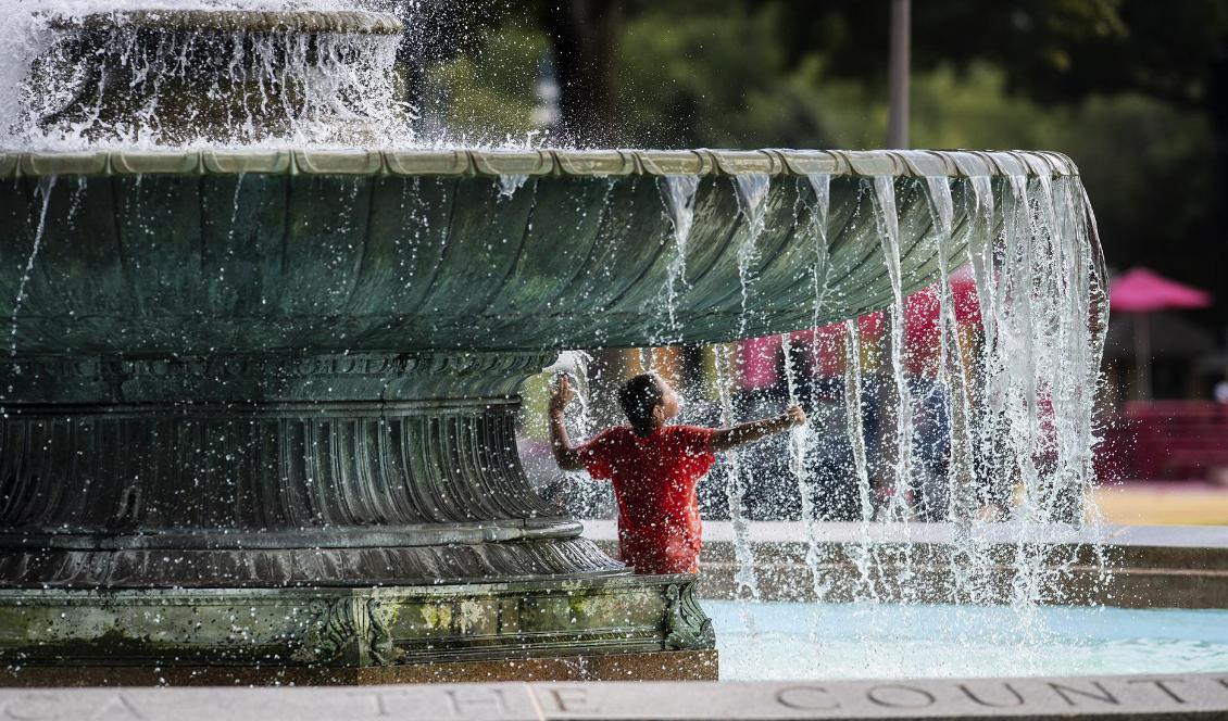 En man svalkar sig i en fontän i Philadelphia under söndagen. Foto: Jose F Moreno/AP/TT