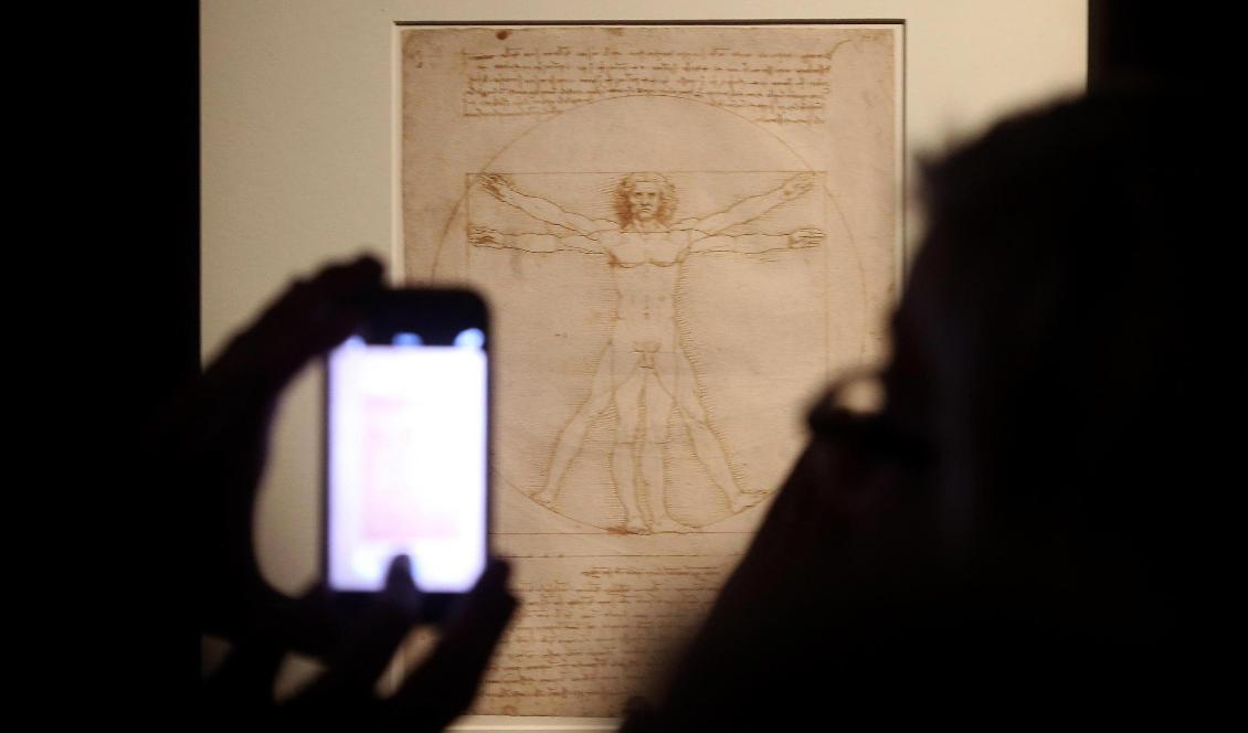 
Leonardo da Vinci's "Den vitruvianske mannen". Foto: Matteo Bazzi/AP/TT-arkivbild                                                
