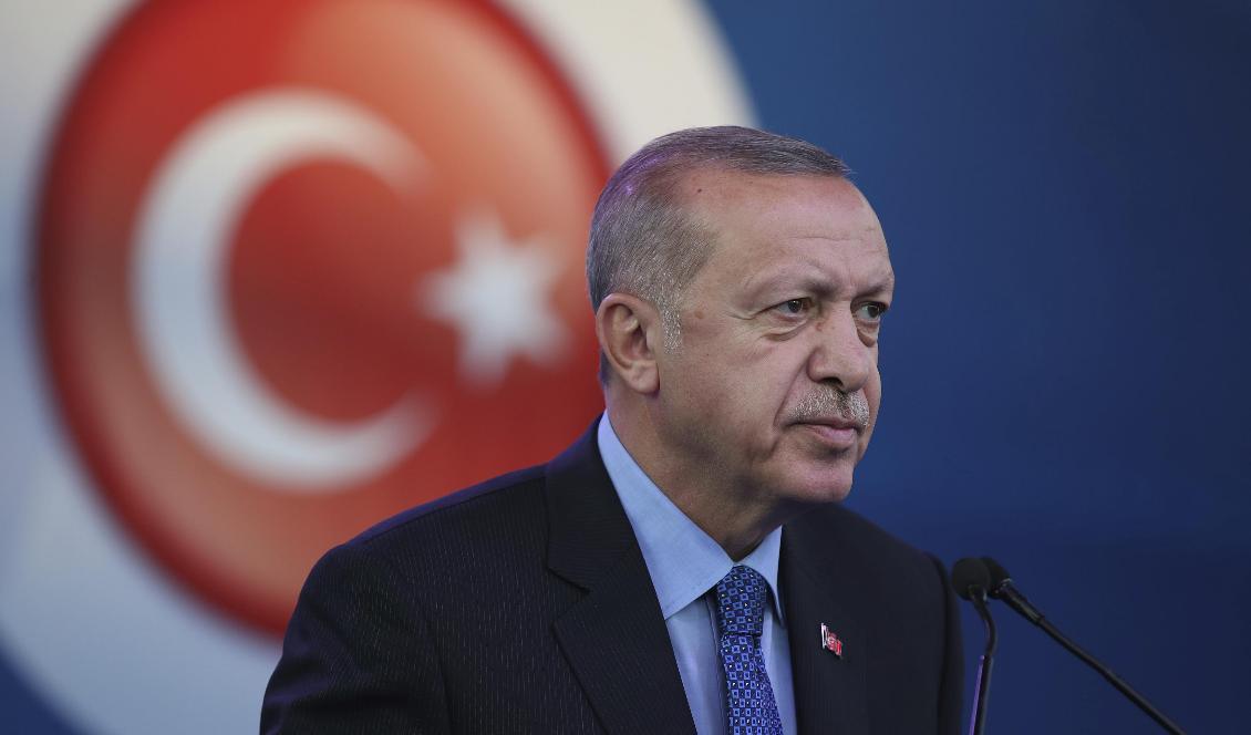 Turkiets president Recep Tayyip Erdogan. Foto: Presidential Press Service via AP/TT-arkivbild