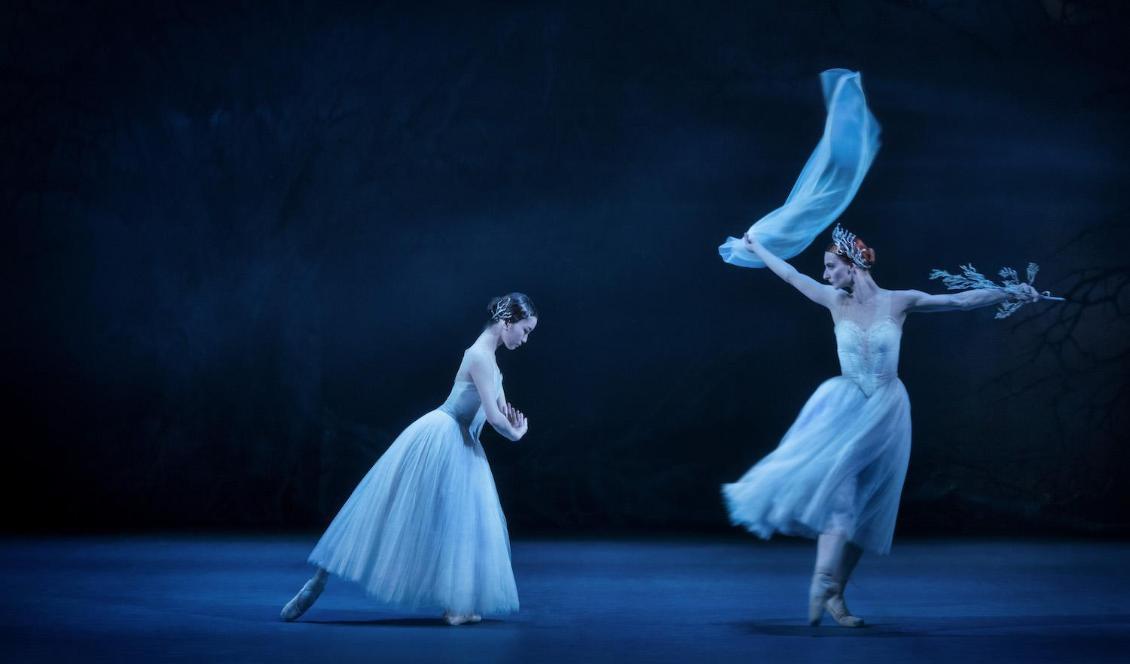 



Kungliga Baletten i nypremiär av Giselle. På bilden: Haruka Sassa som Giselle och Desislava Stoeva som Myrtha. Foto: Markus Gårder                                                                                                                                                                                                