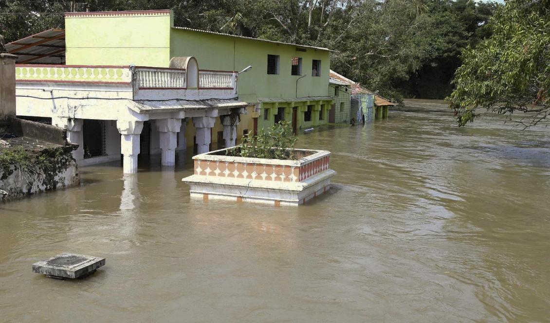 Den översvämmade floden Kaveri nära staden Shrirangapattana i indiska delstaten Karnataka. Foto: AP/TT-arkivbild