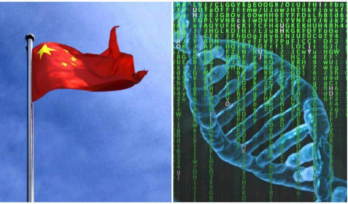 

Kina samlar DNA till en enorm databas. Foto: (hö) Pete Linforth                                                                                                