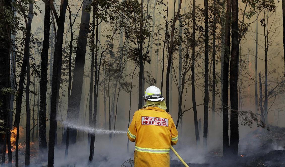 

En brandman försöker begränsa en kontrollerad brand i Victoria under torsdagen. Foto: Rick Rycroft/AP/TT                                                                                                