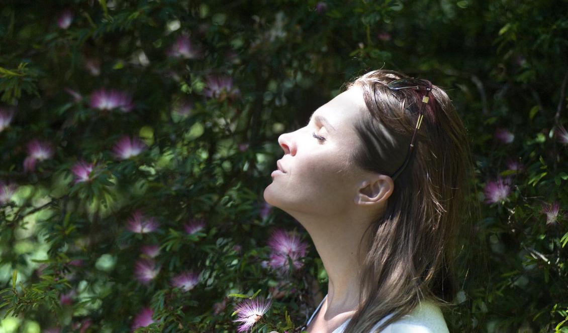 När du tar in solens strålar kommer din kropp att få mycket mer än bara värme – du kommer att ge den ett livsviktigt näringsämne.