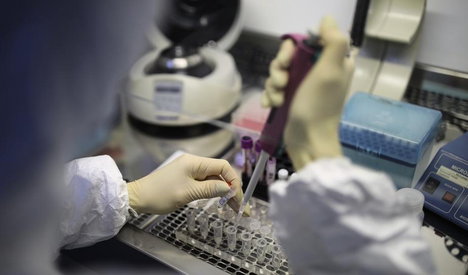 Test har tagits på de svenskar som flögs hem från Wuhan i Kina men alla har varit negativa. Foto: AP Photo-arkivbild