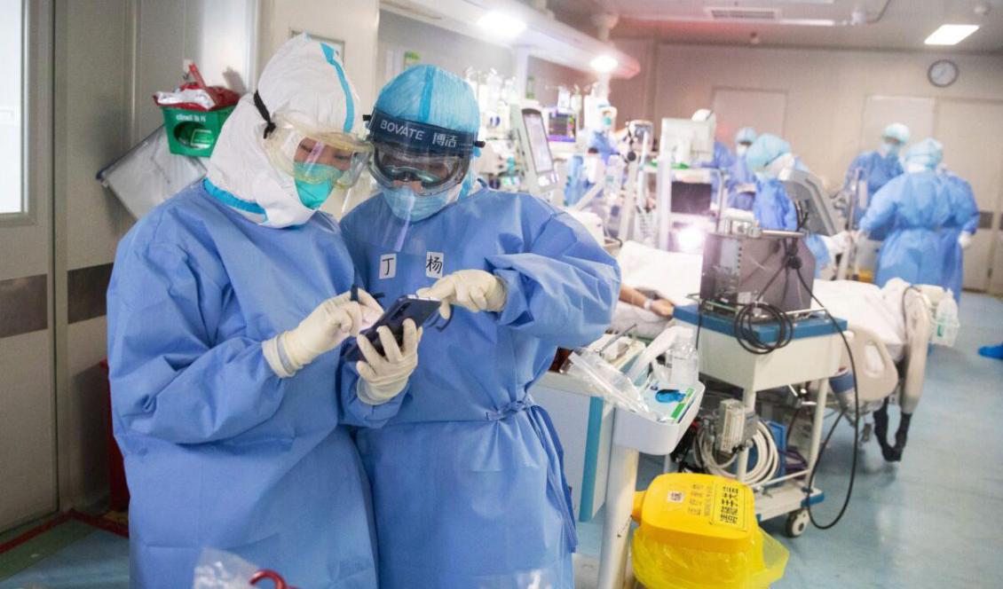 Medicinsk personal kontrollerar en mobiltelefon när de behandlar en KKP-viruspatient på ett sjukhus i Wuhan, Kina, den 19 mars, 2020. Foto: STR/AFP via Getty Images