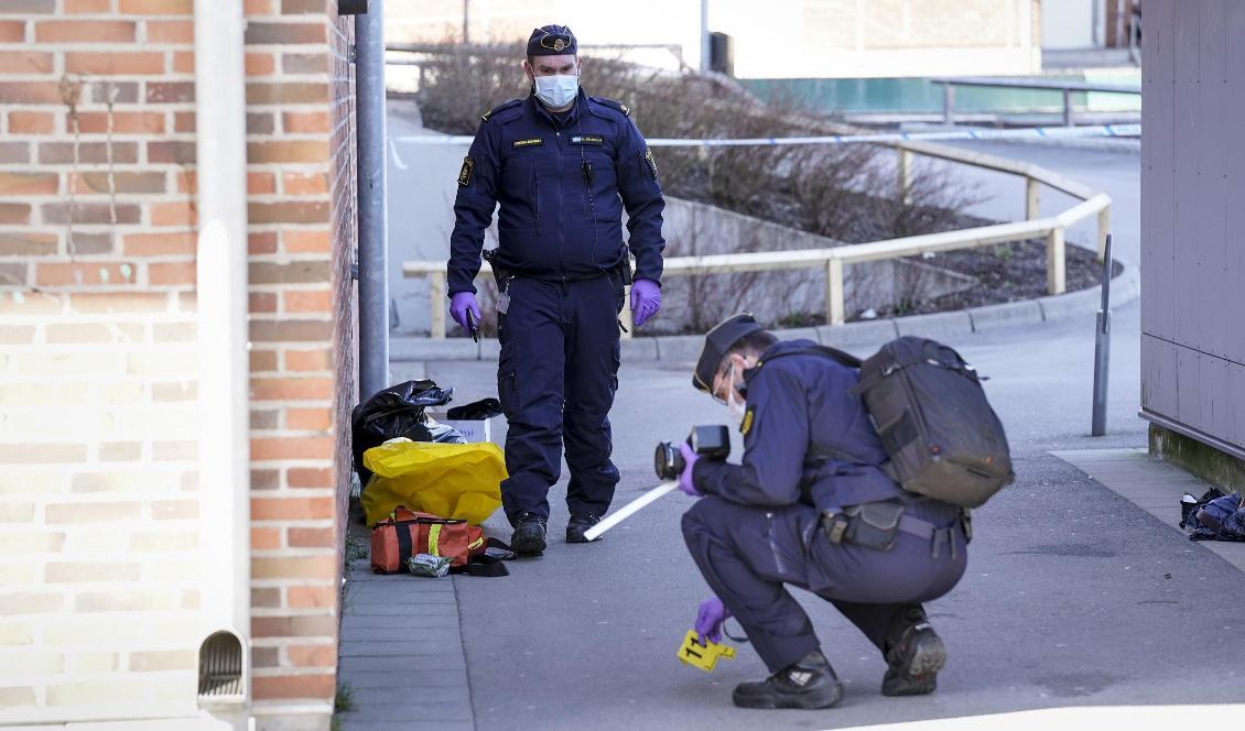 Polis undersöker platsen vid en skola där en pojke blev knivhuggen. Foto: Björn Larsson Rosvall/TT