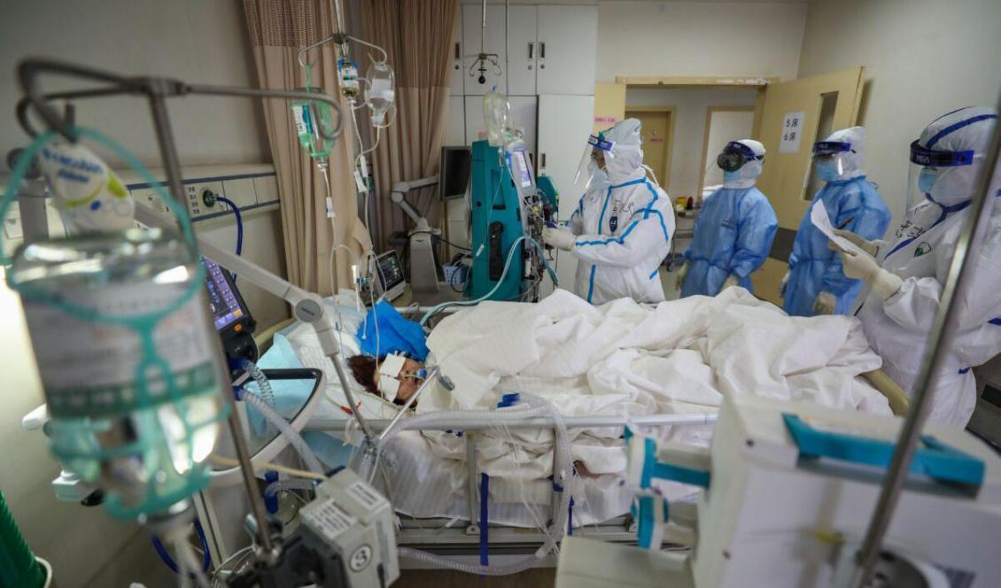 




Medicinsk personal tittar till en patient med COVID-19, på Red Cross hospital i Wuhan, Kina, den 6 mars, 2020. Foto: STR/AFP via Getty Images                                                                                                                                                                                                                                                