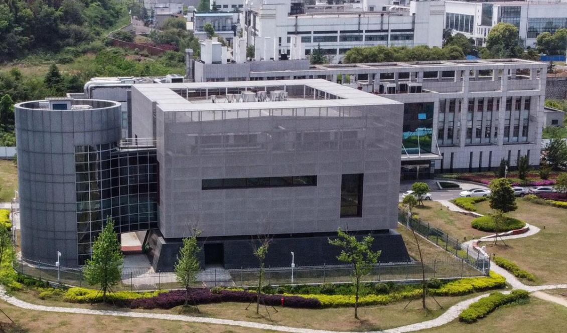 Amerikansk underrättelsetjänst har nu börjat undersöka om det kan finnas ett samband mellan virusets uppkomst och P4-laboratoiet i Wuhan, virusets epicentrum. Wuhan Institute of Virology i Wuhan i Kina, den 17 april 2020. Foto: Hector Retamal, AFP, Getty Images