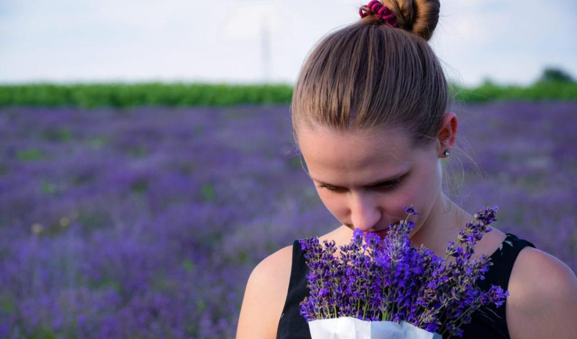 Att andas in ångan från eterisk lavendelolja har visat sig ha många terapeutiska effekter. Foto: Richárd Ecsedi, Unsplash