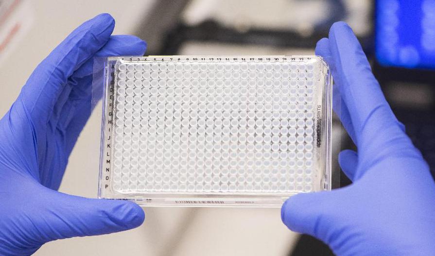 Platta avsedd för test av coronaprover. Foto: Fredrik Sandberg/TT-arkivbild