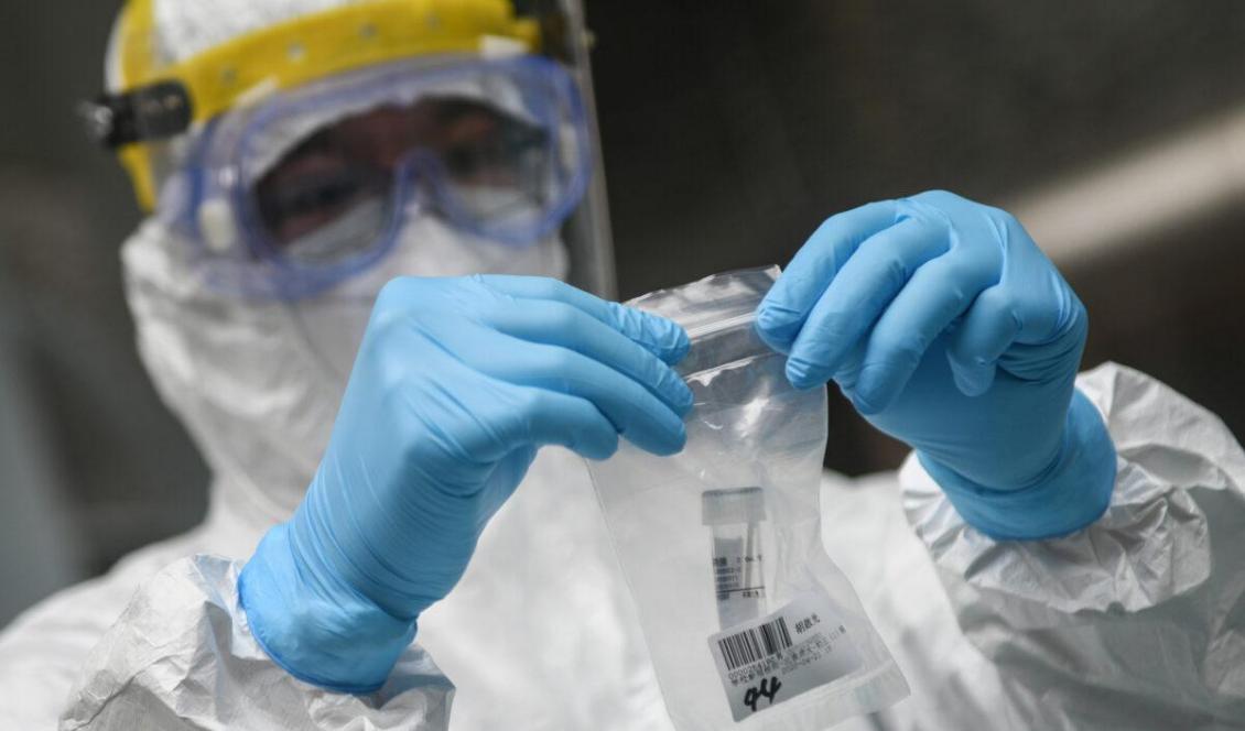 En sjukvårdspersonal hanterar ett nukleinsyratest för KKP-viruset i Guangzhou i Kina den 21 april 2020. Foto: STR/AFP via Getty Images