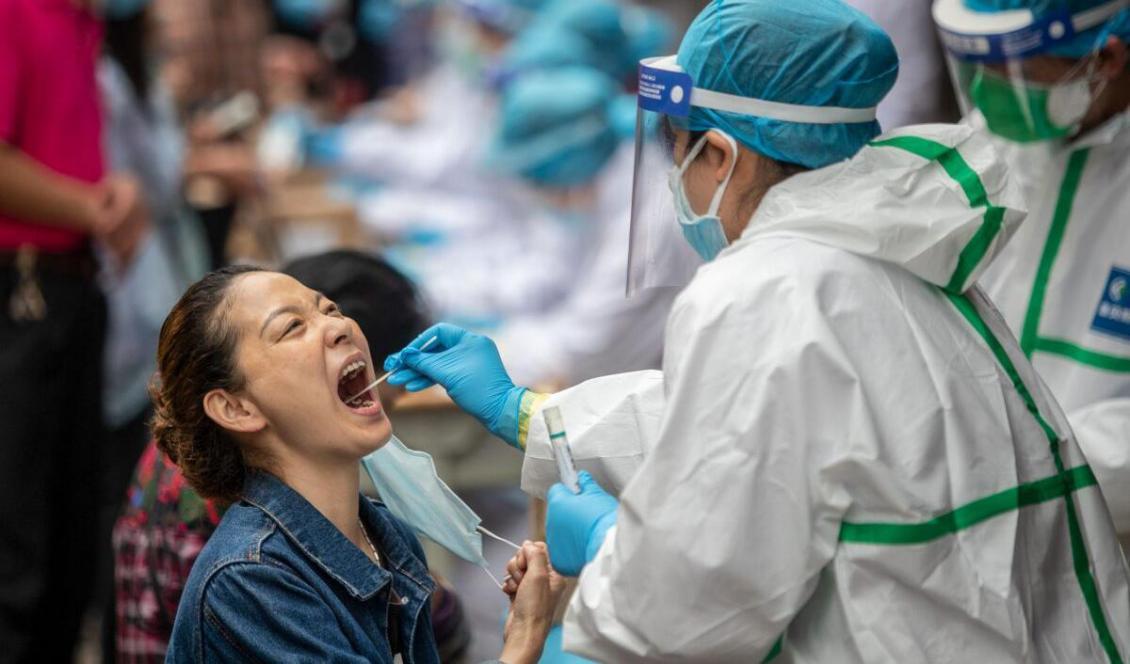 






Vårdpersonal tar ett virustest på en invånare i Wuhan, Kina den 15 maj 2020. Foto: STR/AFP via Getty Images                                                                                                                                                                                                                                                                                                                                        