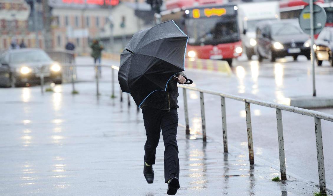 Glöm inte paraplyet om du ska ut och fira Sveriges nationaldag. Det lär behövas. Foto: Henrik Montgomery/TT-arkivbild