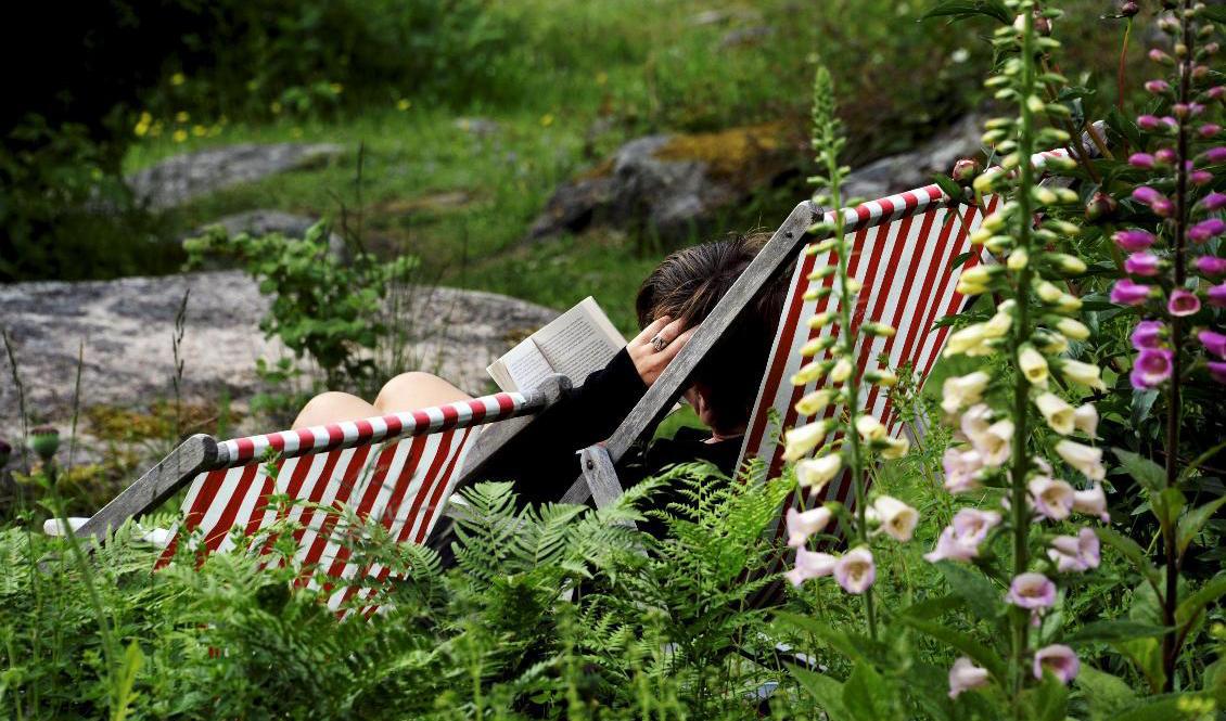 Sommarvärmen kommer tillbaka till Sverige under nästa vecka. Foto: Hasse Holmberg/TT-arkivbild