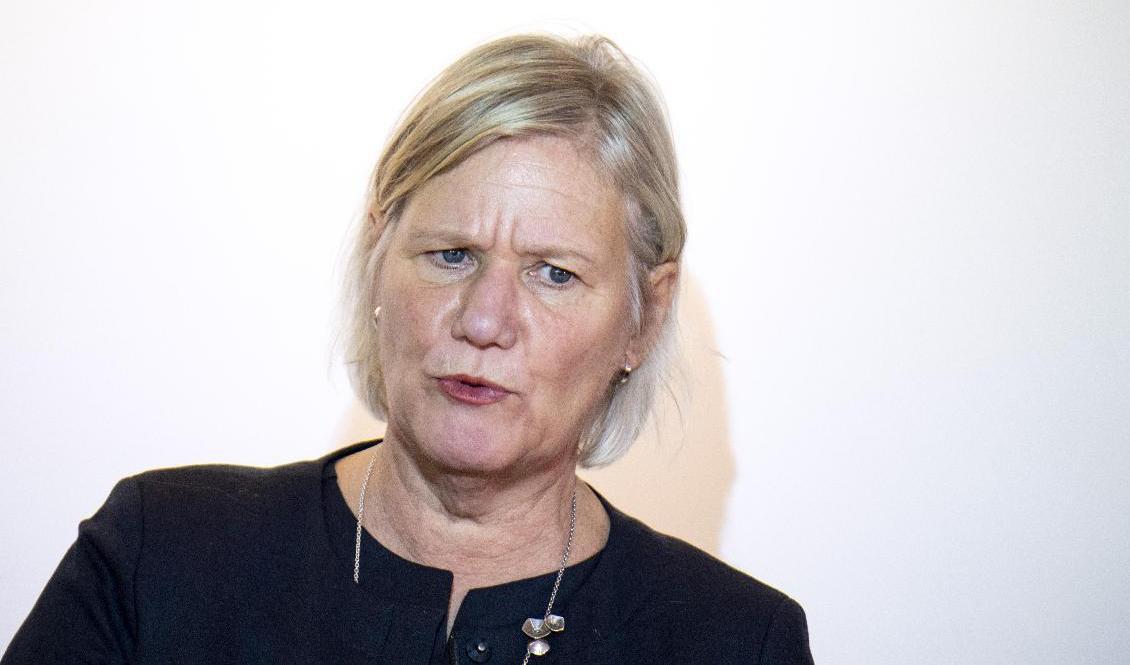 Regeringens utredare Ann-Marie Begler föreslår en ny myndighet. Foto: Johan Nilsson/TT-arkivbild