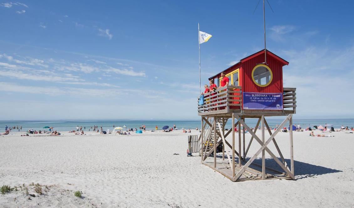 Skanörs havsbad är en av nio stränder som får flagga blått i sommar. Foto: Andreas Hillergren/TT-arkivbild