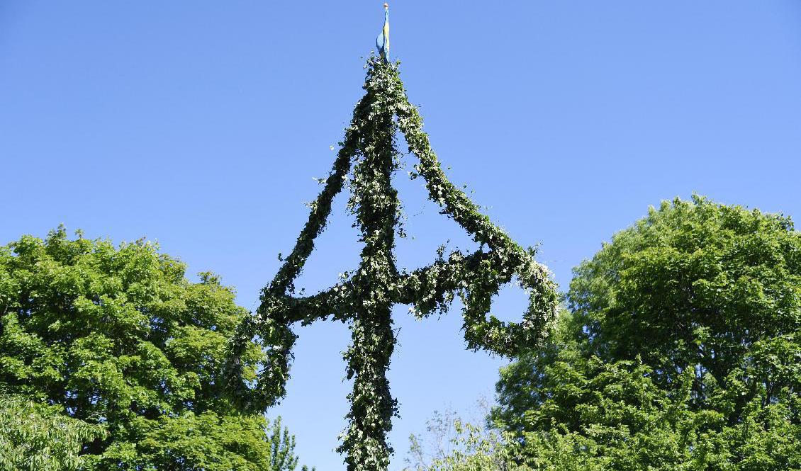 Det blir en solig midsommar i stora delar av Sverige, enligt SMHI:s prognos. Foto: Pontus Lundahl/TT-arkivbild